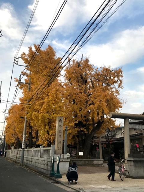 Sky Tree Inn Präfektur Tokio Exterior foto