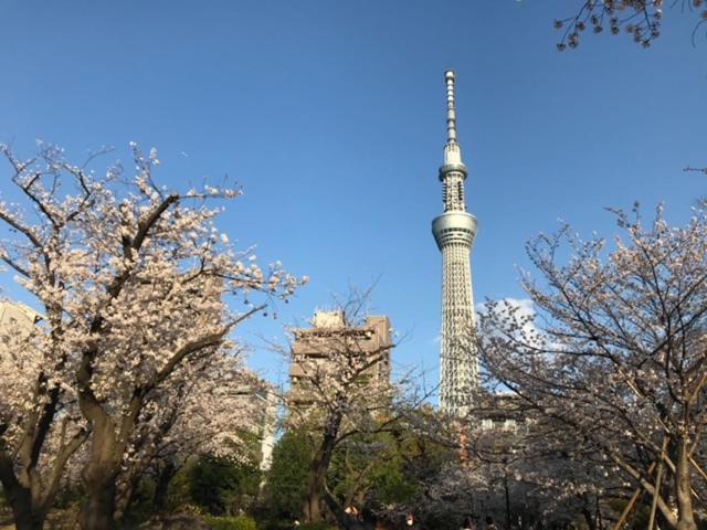 Sky Tree Inn Präfektur Tokio Exterior foto