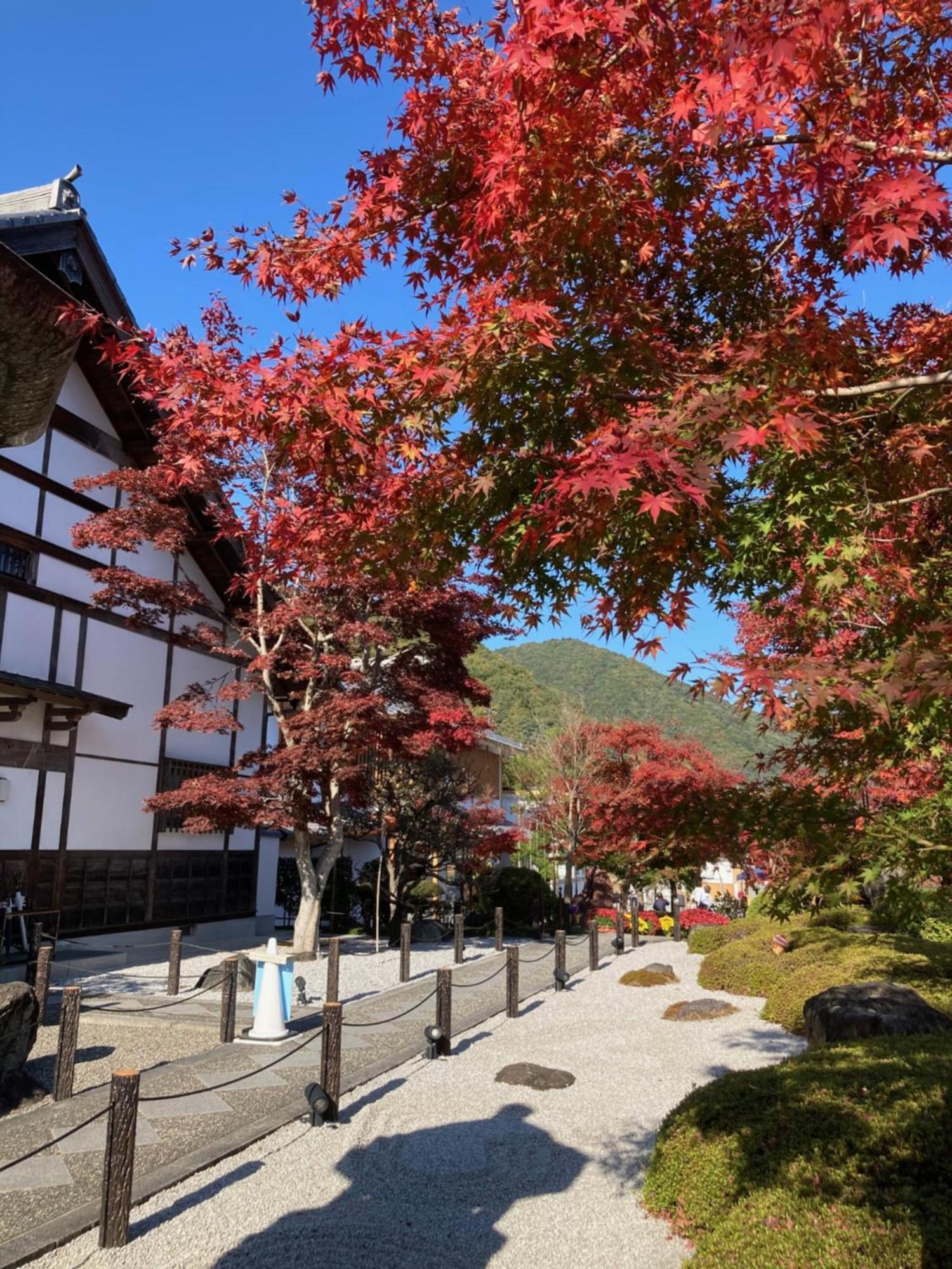 Sky Tree Inn Präfektur Tokio Exterior foto